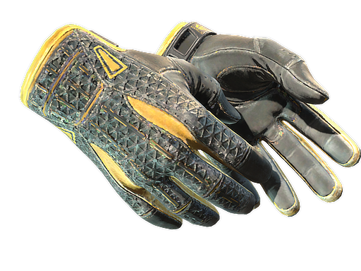 ★ Sport Gloves | Omega (Field-Tested)